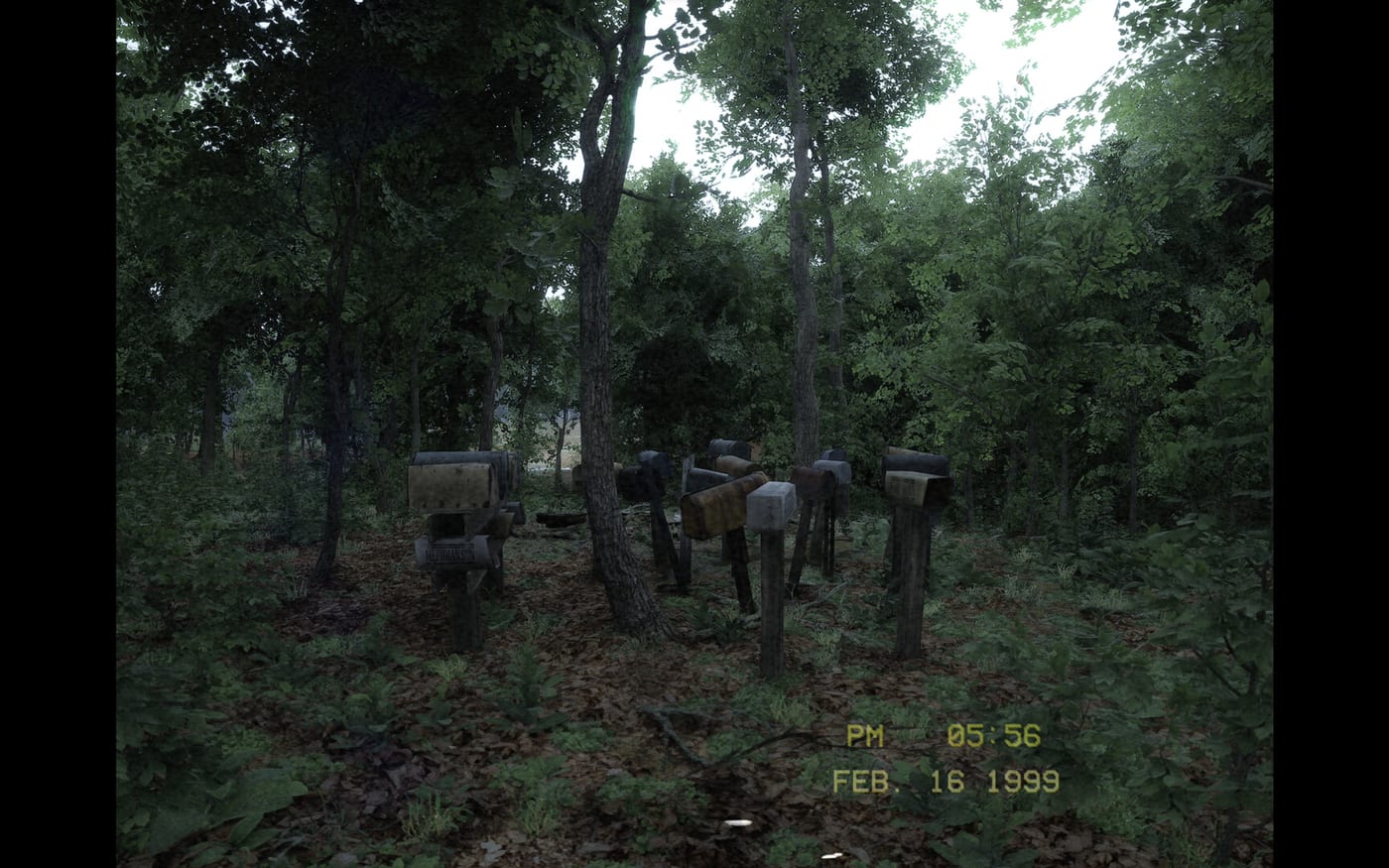 Forest Landmarks